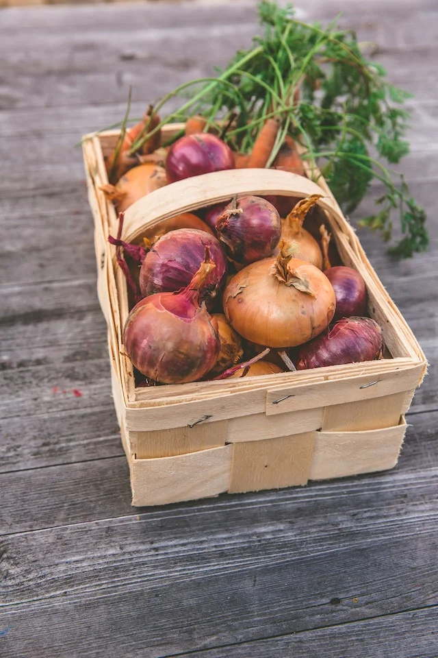 onion and potato storage ideas
