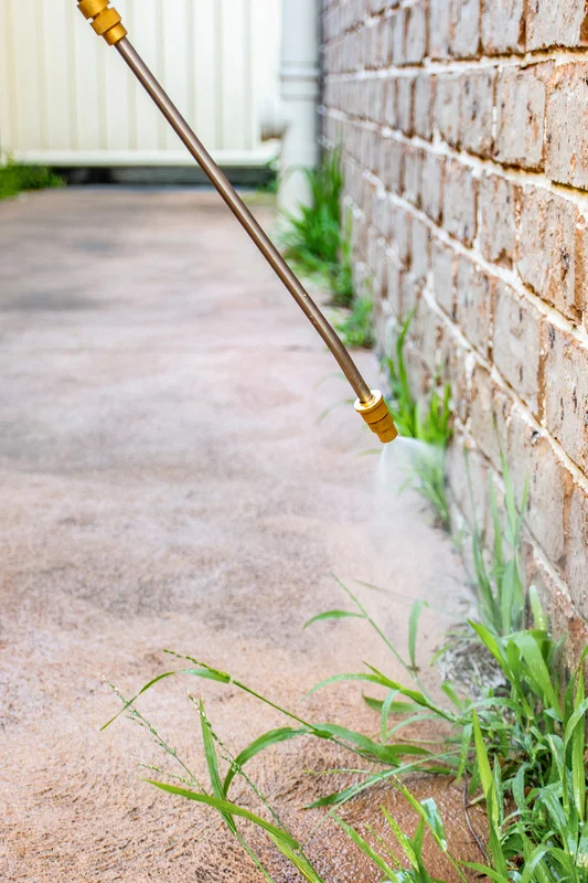 How to Use Vinegar to Kill Weeds The iambic