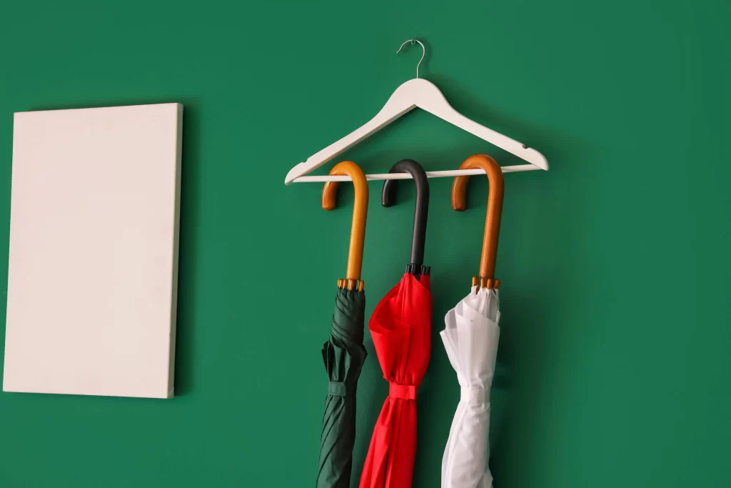 hall closet organization ideas