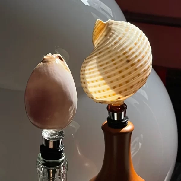 unique seashell wine bottle stopper