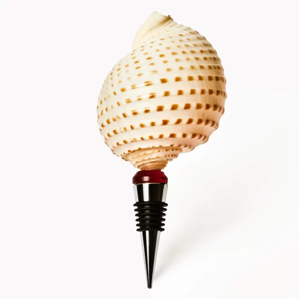 unique seashell wine bottle stopper